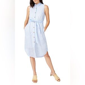 By Anthropologie Stripe Sleeveless Button Down Embroidered Eyelet Shirt dress 12